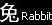 Rabbit ��е��� (���)