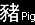 Pig ��� (�ع)