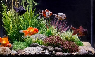 ����§��������������СѺ�ǧ����